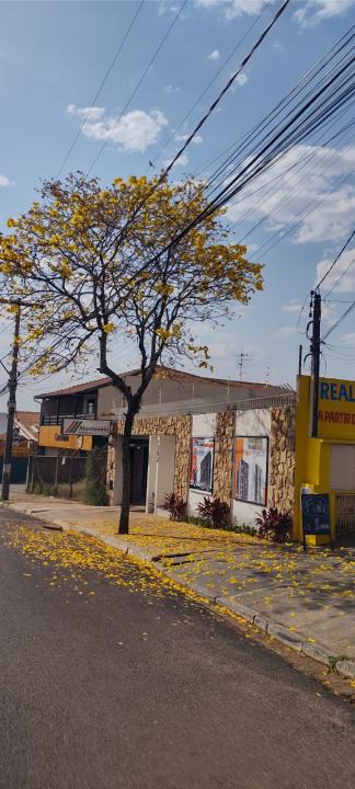 Foto 25 de 31 — Florada dos ipês dá novo colorido a Araraquara e internautas enviam fotos; veja